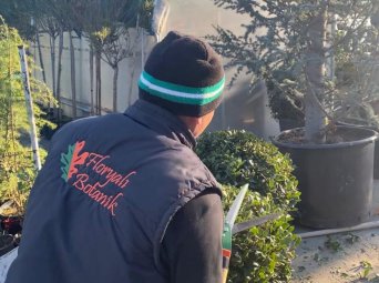 İç ve Dış Mekan Bitki Bakımı